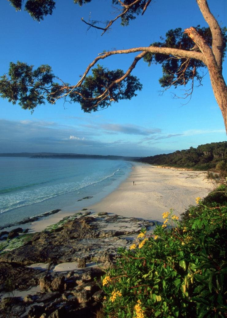 Paperbark Camp, Jervis Bay, New South Wales © Hutchings Camps