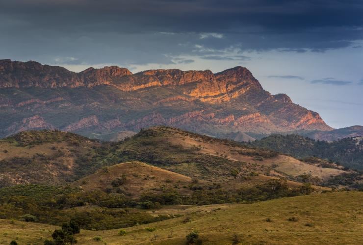 Die zerklüfteten Berge und die grasbewachsene Landschaft um das Arkaba Private Wildlife Conservancy, Flinders Ranges, Südaustralien © Richard I'Anson