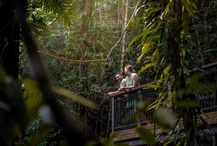 Ein Mann und eine Frau beugen sich über ein Balkongeländer im Regenwald in der Daintree Ecolodge, Daintree, Queensland © Tourism and Events Queensland