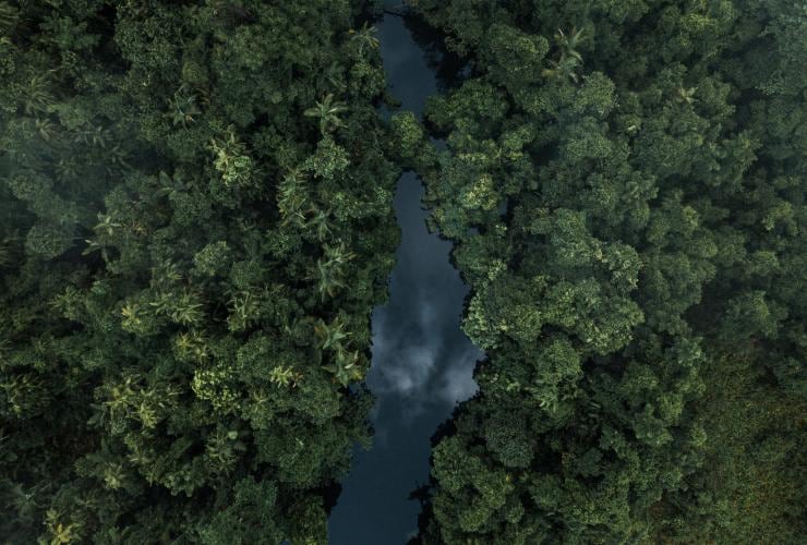 Aerial view over the green canopy of the Daintree Rainforest with a river running through the middle of the frame, Queensland © Melissa Findley/Tourism Australia