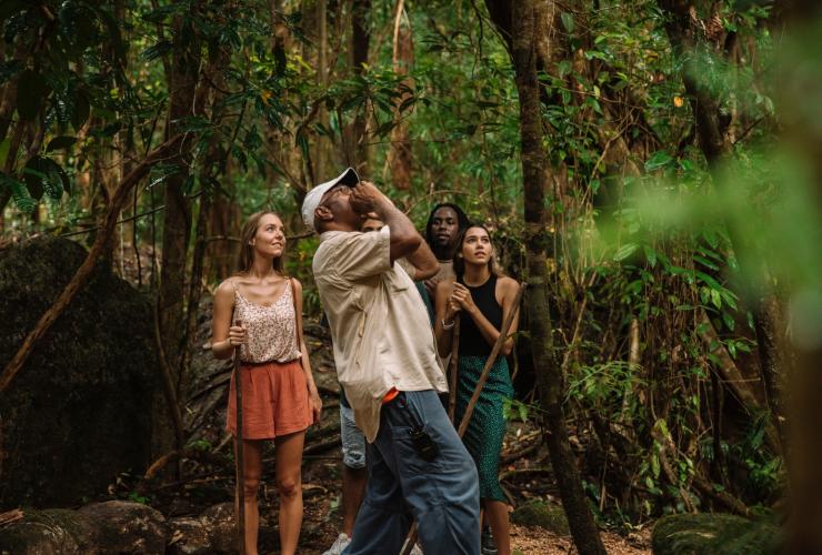 A group of people standing in a rainforest with an Aboriginal guide from Mossman Gorge Centre making a calling motion while looking up towards the canopy, Daintree Rainforest, Queensland © Tourism and Events Queensland