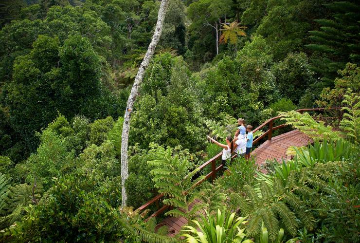 Aerial view over a family standing on a raised wooden pathway  through a lush green forest in Norfolk Island National Park, Norfolk Island © Norfolk Island Tourism