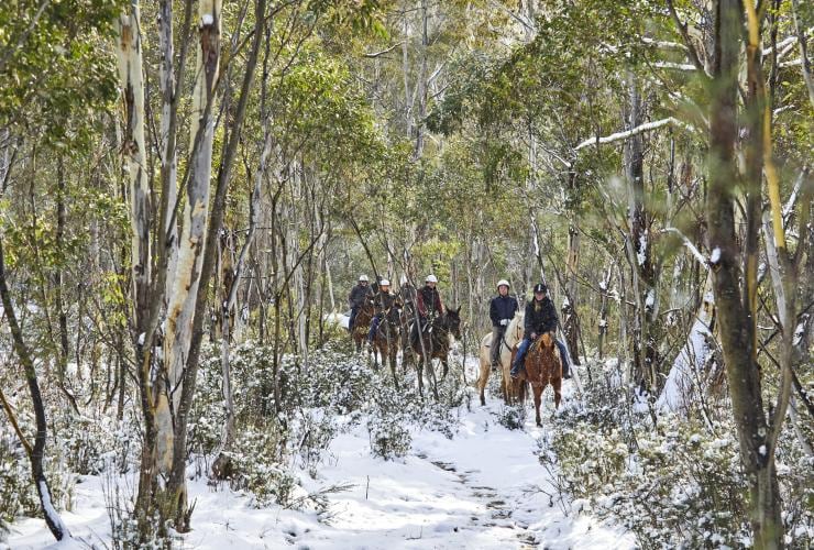 A group of people riding horses through the snowy bushland at Thredbo Valley Horse Riding, Snowy Mountains, New South Wales © Tourism Australia