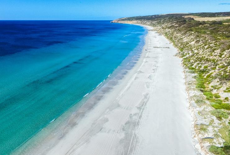 Aerial view over a long white sand beach with bright blue water an grassy hills at Emu Bay, Kangaroo Island, South Australia © South Australian Tourism Commission