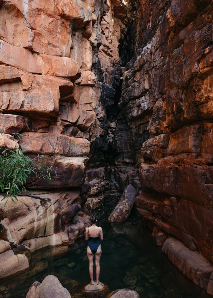 A person standing on a rock wearing swimmers, preparing to jump into a waterhole surrounded by red rock walls at Faraway Bay, the Kimberley, Western Australia © Tourism Western Australia