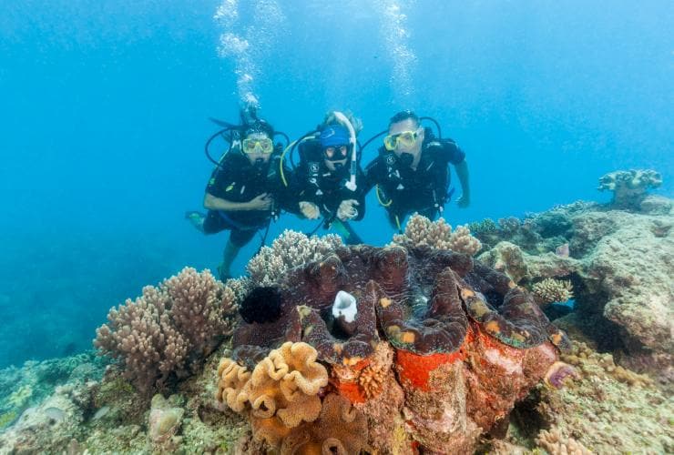 A dive instructor showing two new divers a giant clam sitting on a bed of coral with Ocean Freedom on the Great Barrier Reef, Queensland © Tourism Tropical North Queensland