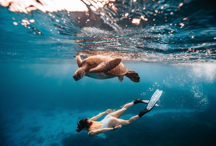 A woman snorkelling beneath a turtle near Lady Elliot Island, Southern Great Barrier Reef, Queensland © Tourism and Events Queensland