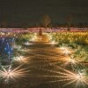 A visitor walking through the Field of Light art installation © Tourism NT/Mitchell Cox