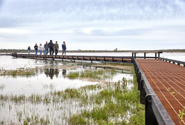 A group of people walking along a path above a wetland with a local Aboriginal guide at Budj Bim Cultural Landscape Tourism, Great Ocean Road, Victoria © Tourism Australia