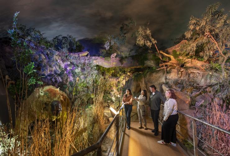 A group of people exploring the opening of Naracoorte Caves at night, Naracoorte, South Australia © Tourism Australia