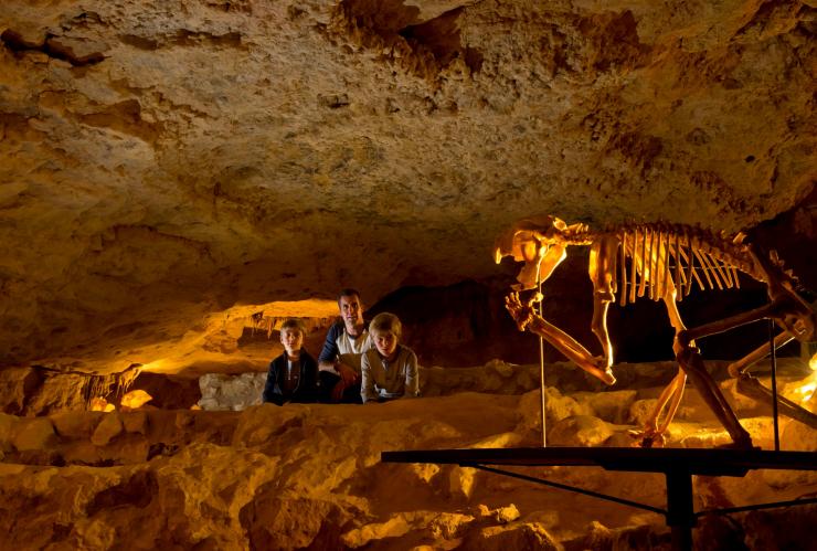 A family admiring an animal skeleton underground in Naracoorte Caves, Naracoorte, South Australia © Adam Bruzzone