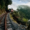 The West Coast Wilderness Railway, Strahan, TAS © Nick Osborne