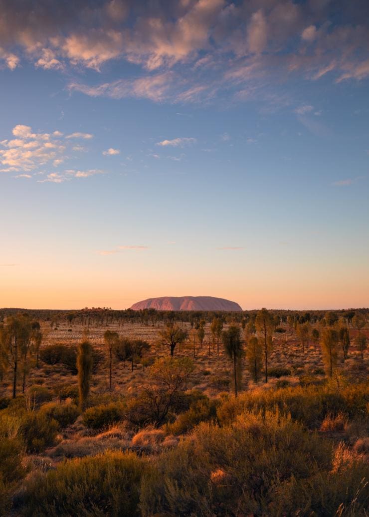 Grassy plains in the foreground leading to the red rock monolith of Uluru during sunset, Uluru-Kata Tjuta National Park, Northern Territory © Tourism Australia