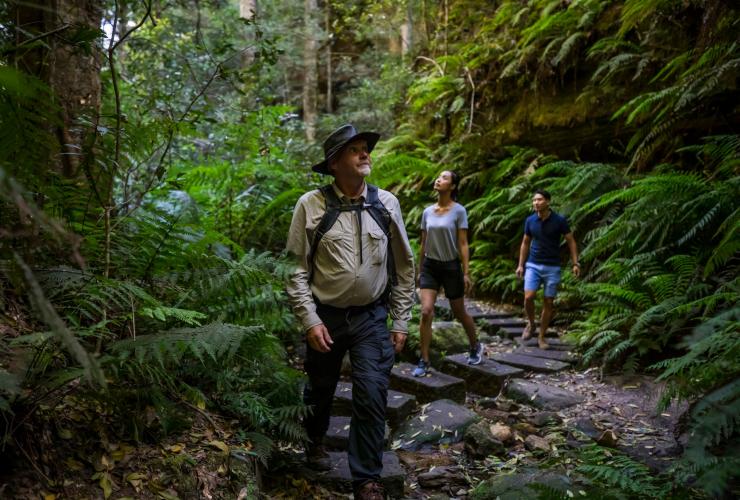A guide leading two people on a tour through lush green rainforest with Tread Lightly Eco Tour, Blackheath, New South Wales © Destination NSW