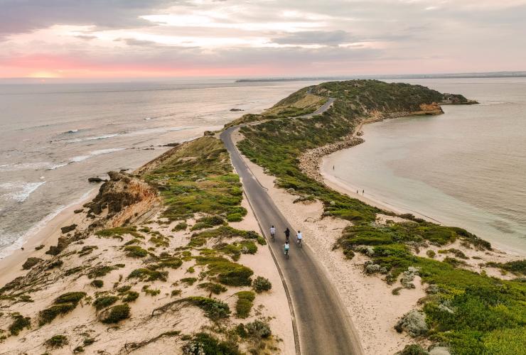 Aerial view over a group of people bike riding along a road in the middle of a sandy peninsula beneath pastel skies at Point Nepean, Mornington Peninsula Victoria © Visit Victoria