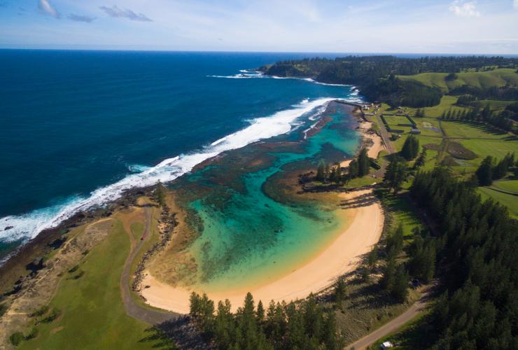 Aerial view over a curved bay with golden sand and clear turquoise water, with pine trees and grass lining the shore at Emily Bay, Norfolk Island © Bare Kiwi