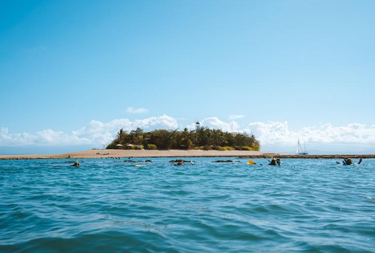 A group of people snorkelling in bright blue water with a small, sandy island with dense trees in the centre behind them during a tour with Sailaway Reef and Island Tours, Port Douglas, Queensland © Tourism Australia