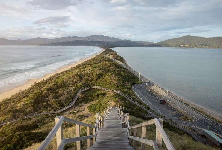 View from the top of a set of stairs overlooking a thin, grassy strip of land bordered by water on both sides at The Neck, Bruny Island, Tasmania © Jess Bonde