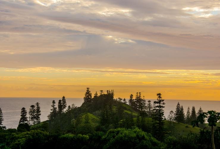 Sunrise over a hill sprinkled with pine trees on Norfolk Island © Bare Kiwi