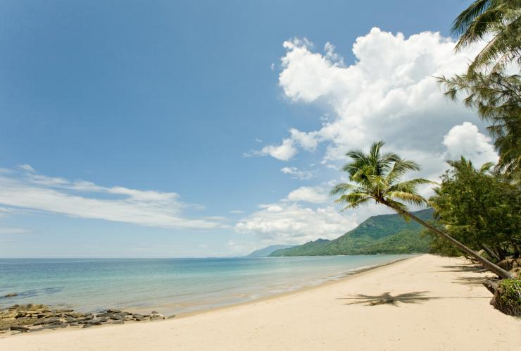 A palm tree-lined beach with clear, flat water and white sand at Thala Beach, Port Douglas, Queensland © Tourism Port Douglas and Daintree