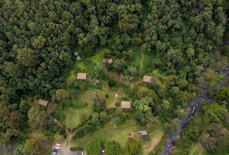 Aerial view over glamping tents sprinkled among bushland at Nightfall Camp, Lamington National Park, Queensland © Tourism and Events Queensland