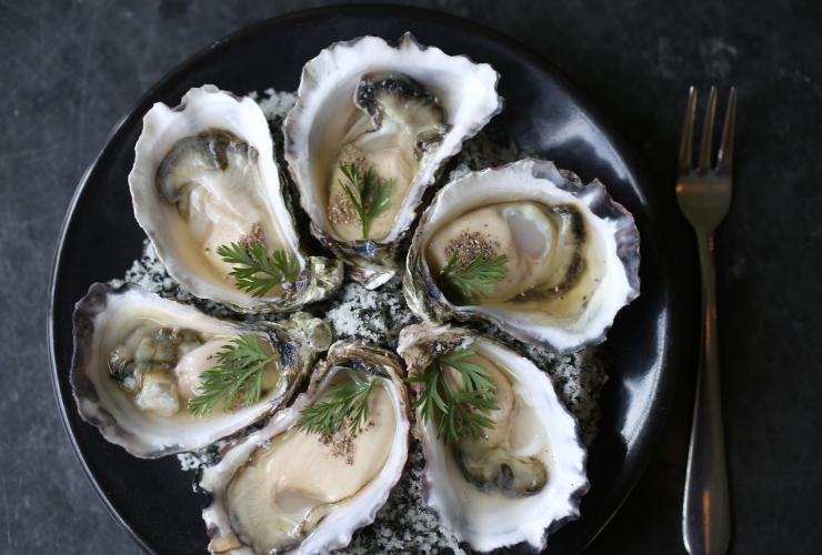 Aerial view over a plate of six Sydney Rock Oysters, Sydney, New South Wales © Sydney Morning Herald