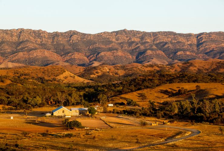 Distant view of a farmhouse and homestead surrounded by lush greenery with a colourful mountain range close in the background at Arkaba Station, Woolshed and Landscape, Flinders Ranges, South Australia © Wild Bush Luxury