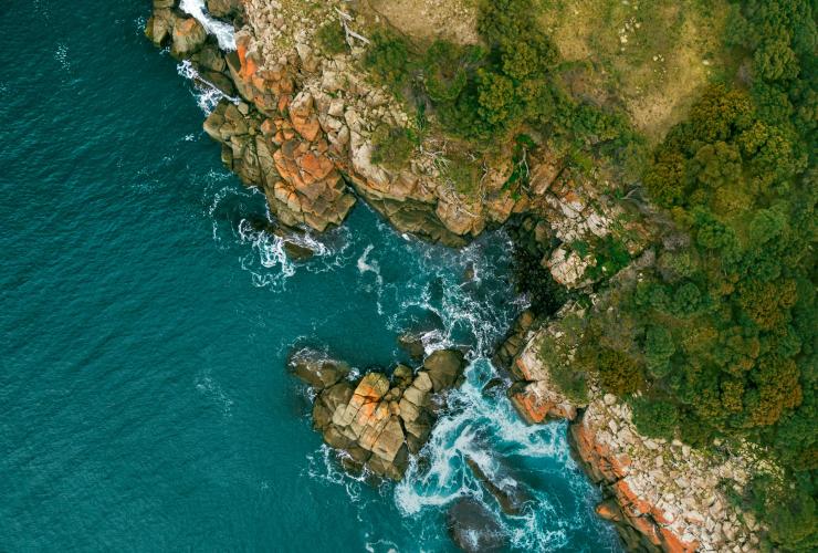 Aerial view over a rugged coastline with orange lichen-covered rocks, trees leading to the headland and turquoise water below on Bruny Island, Tasmania © Georges Antoni