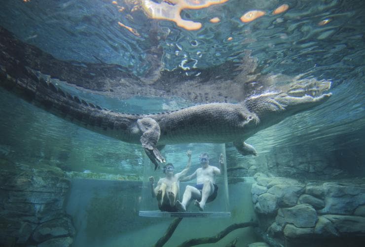 Two men swimming inside a clear tube within a crocodile enclosure with a saltwater crocodile swimming by at Crocosaurus Cove, Darwin, Northern Territory © Tourism Australia