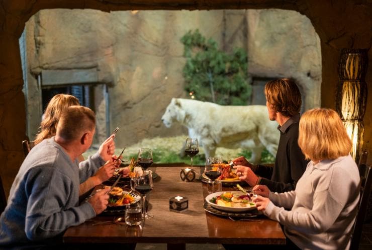 Four people seated eating dinner nd drinking red wine at a window to an enclosure where a lion is walking at Jamala Wildlife Lodge, Canberra, Australian Capital Territory © Tourism Australia