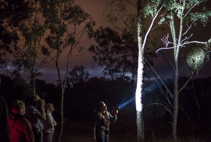 Ranger leading a twilight tour at night while shining their torch towards a large spider web in Mulligans Flat Woodlands Sanctuary Twilight Tour, Canberra, Australian Capital Territory © Visit Canberra
