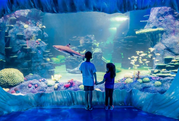 Two children holding hands and looking into a tank of reef sharks, fish and coral at SEALIFE Sydney Aquarium, Sydney, New South Wales © SEALIFE Sydney Aquarium
