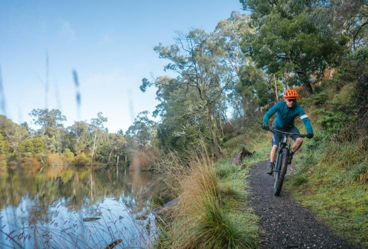 Un cycliste pédalant sur un sentier terreux dans le bush, le long de Jubilee Lake, Daylesford, Victoria © Visit Victoria