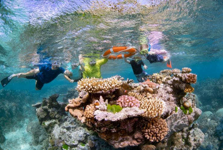 Dreamtime Dive and Snorkel, Grande Barrière de Corail, Queensland © Tourism and Events Queensland