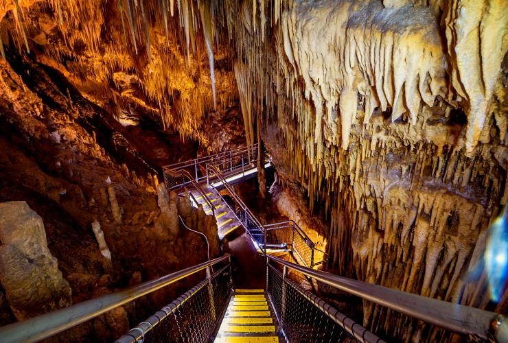 Newdegate Cave, Hastings Caves and Thermal Springs, Huon Valley, Tasmanie © Lauren Bath