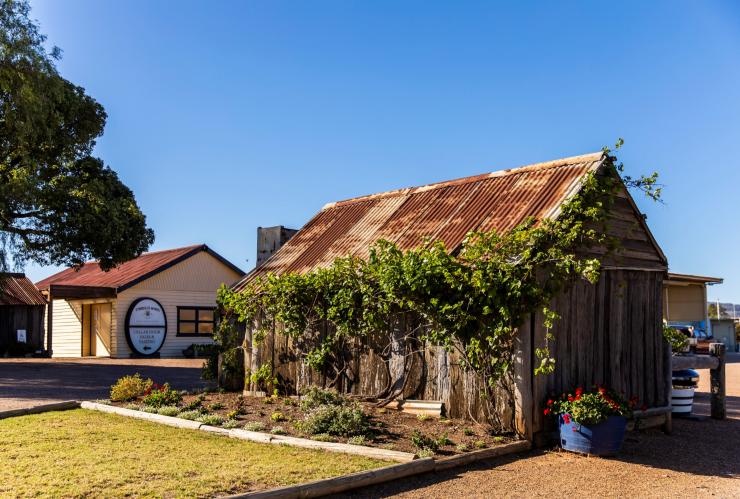 Tyrrell's Wines, Hunter Valley, Nouvelle-Galles du Sud © Destination NSW