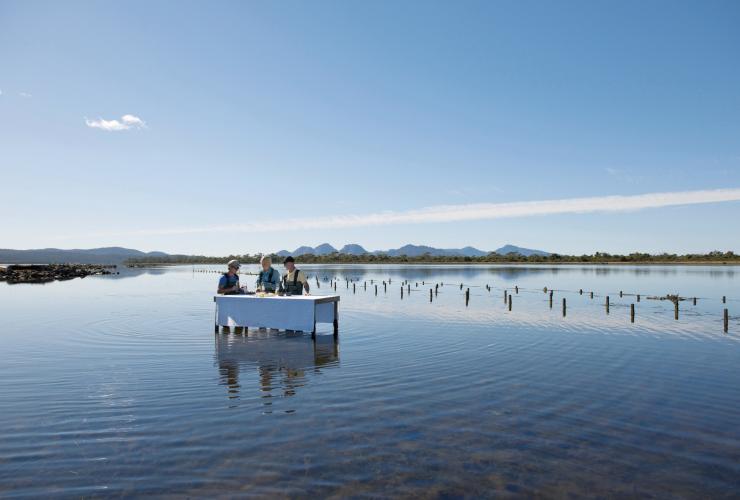 Un couple dînant sur une table dans l'eau à la Freycinet Marine Oyster Farm lors d'une activité Saffire Signature Experience à Coles Bay, Freycinet, Tasmanie © Tourism Tasmania / George Apostolidis