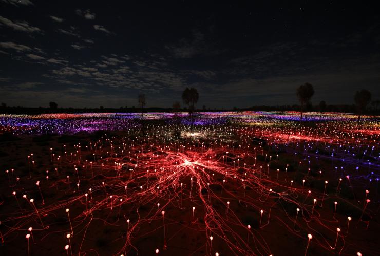 Jaringan lampu berwarna pelangi membentang melintasi dataran dengan jajaran pepohonan di bawah langit malam di Field of Light by Bruce Munro, Uluru, Northern Territory © Mark Pickthall