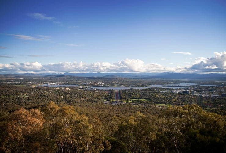 Vista panoramica sconfinata sulla città di Canberra e sulla vegetazione dal Mount Ainslie Lookout, Canberra, Australian Capital Territory © Tourism Australia