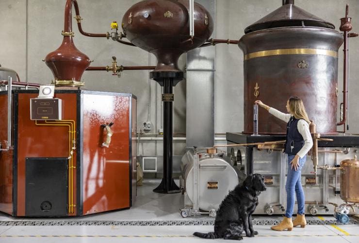 Donna in piedi con un cane che guarda gli apparecchi per la distillazione alla Bass & Flinders Distillery, Mornington Peninsula, Victoria © Tourism Australia