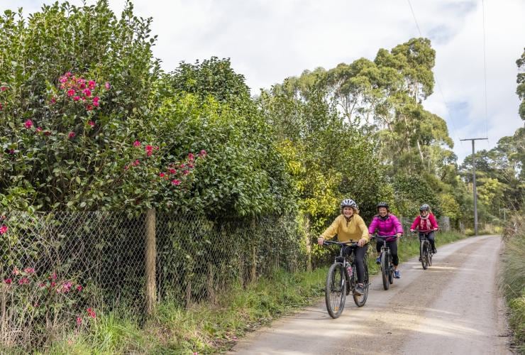 ビクトリア州、モーニントン半島、サイクリング・ヴァイン・ツアーズのツアーで、緑豊かな木々に沿って自転車で走る人々 © Tourism Australia