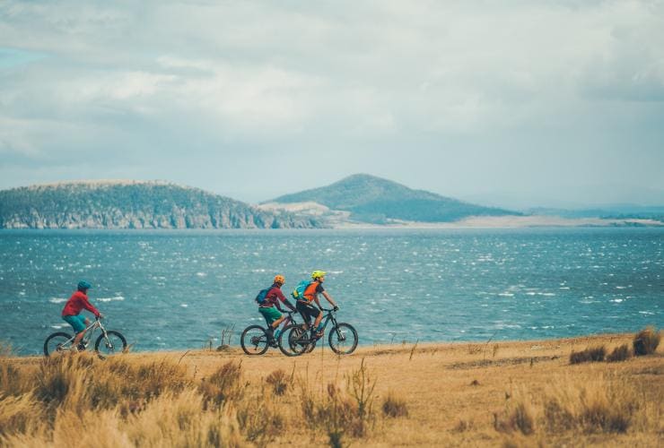 タスマニア州、マリア島国立公園、青い海を見下ろす草地の海岸線をマウンテンバイクで走る3人 © Matt Staggs