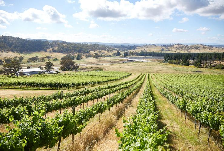 オーストラリア首都特別地域、キャンベラ地方のワイン産地
