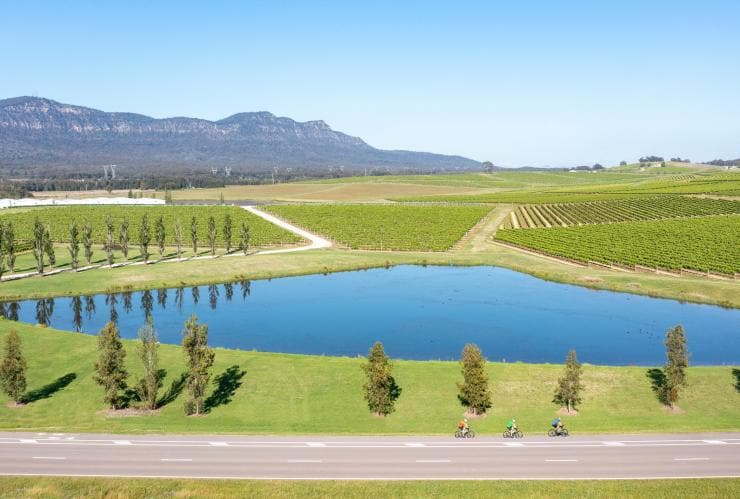 헌터 밸리에서 무성한 초록 포도밭으로 둘러싸인 작은 호수를 지나는 길을 따라 자전거를 타고 가는 세 사람의 모습, 뉴사우스웨일스 © 세스녹 시티 카운슬