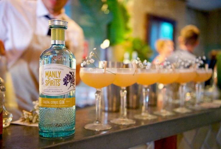 新南威爾士州曼利Manly Spirits Co.釀酒廠吧檯上一瓶海岸柑橘杜松子酒旁邊擺放了一排新鮮調製的雞尾酒©Martin Vivian Pearse