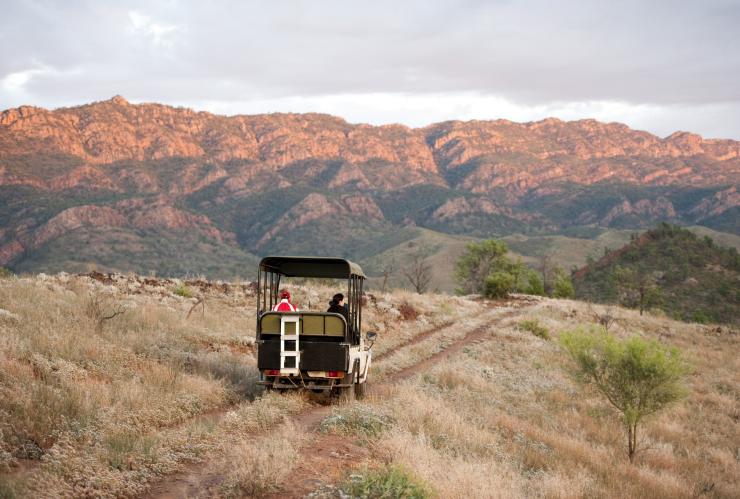 南澳州費蓮達山脈阿卡巴保護區內兩人在草地上駕駛越野車，他們前面遠處是山巒©南澳州旅遊局/Cameron Bloom