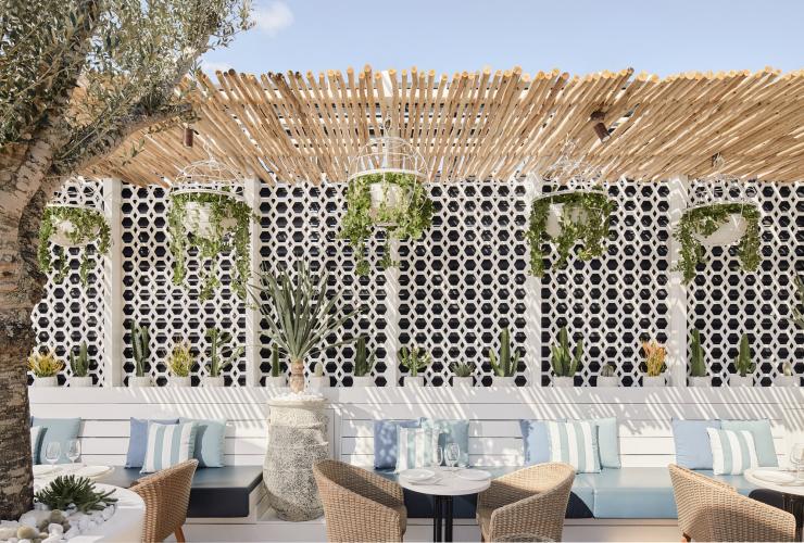 昆士蘭州布里斯本MAYA酒吧的海灘式天台酒吧內擺放了躺椅、藍色座墊和肉質植物©David Chatfield